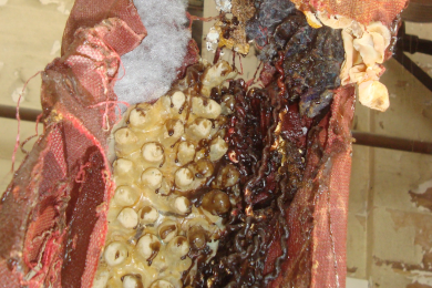 Abject hanging sculpture