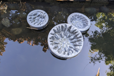 Seedpods installation